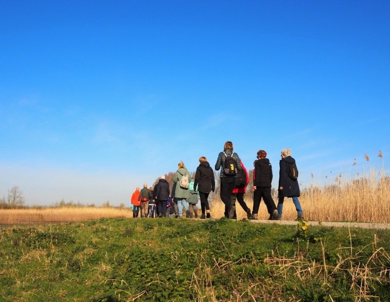 Entdeckungen in Flevoland